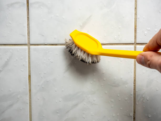 Best Mold Remediation for Schools in Elk City, OK