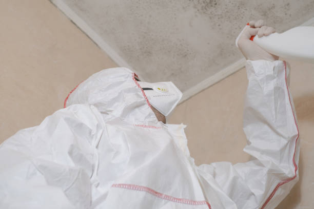 Best HVAC Mold Remediation in Elk City, OK